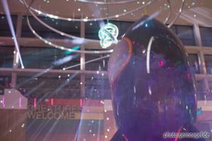 39c3, Fairydust, Hamburg, ccc