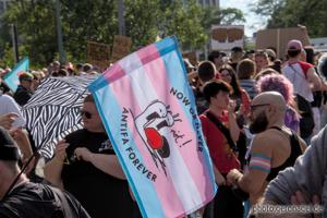 Berlin, Demo, Pride, Queer